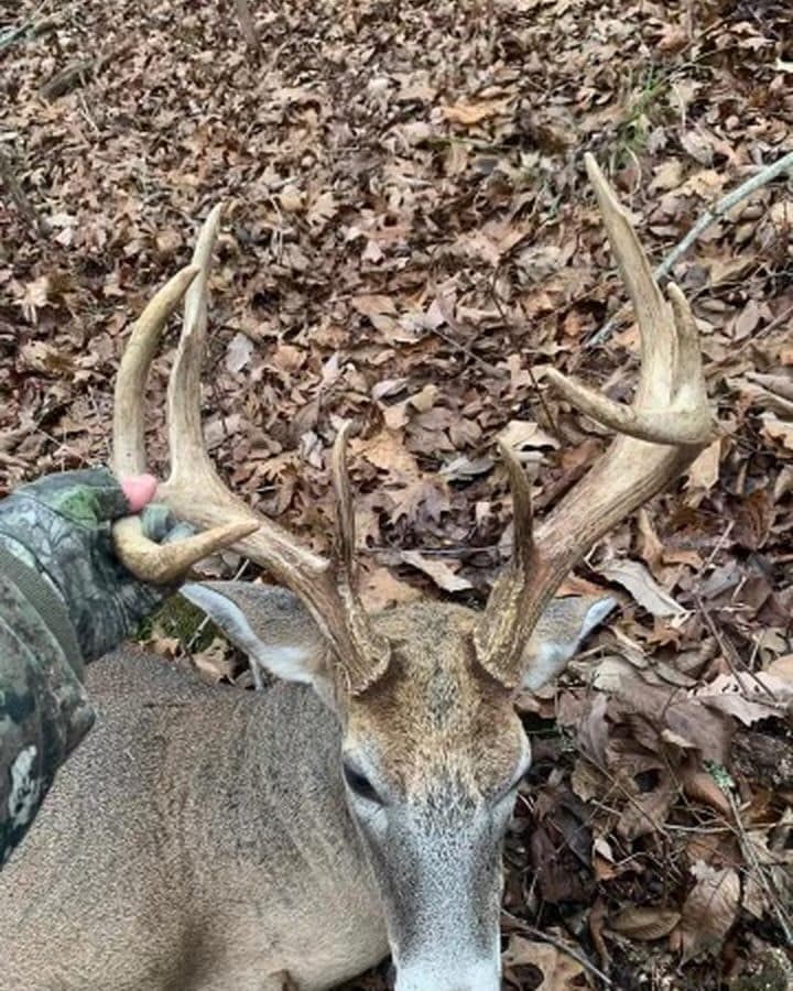 A member’s whitetail harvest shared on Hunting Club